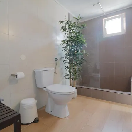 International Surf School & Camp * Sagres