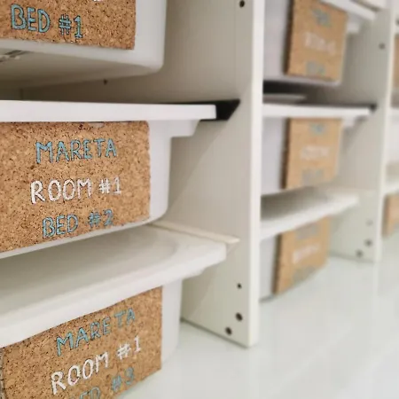 International Surf School & Camp *